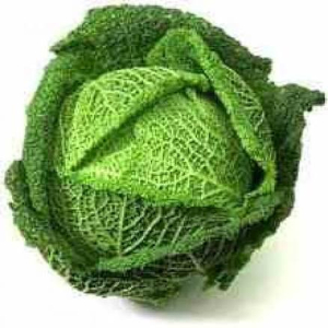 Brukev zelná (Brassica oleracea)