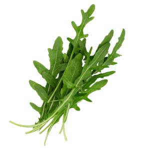 Roketa
