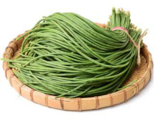 Vigna adzuki